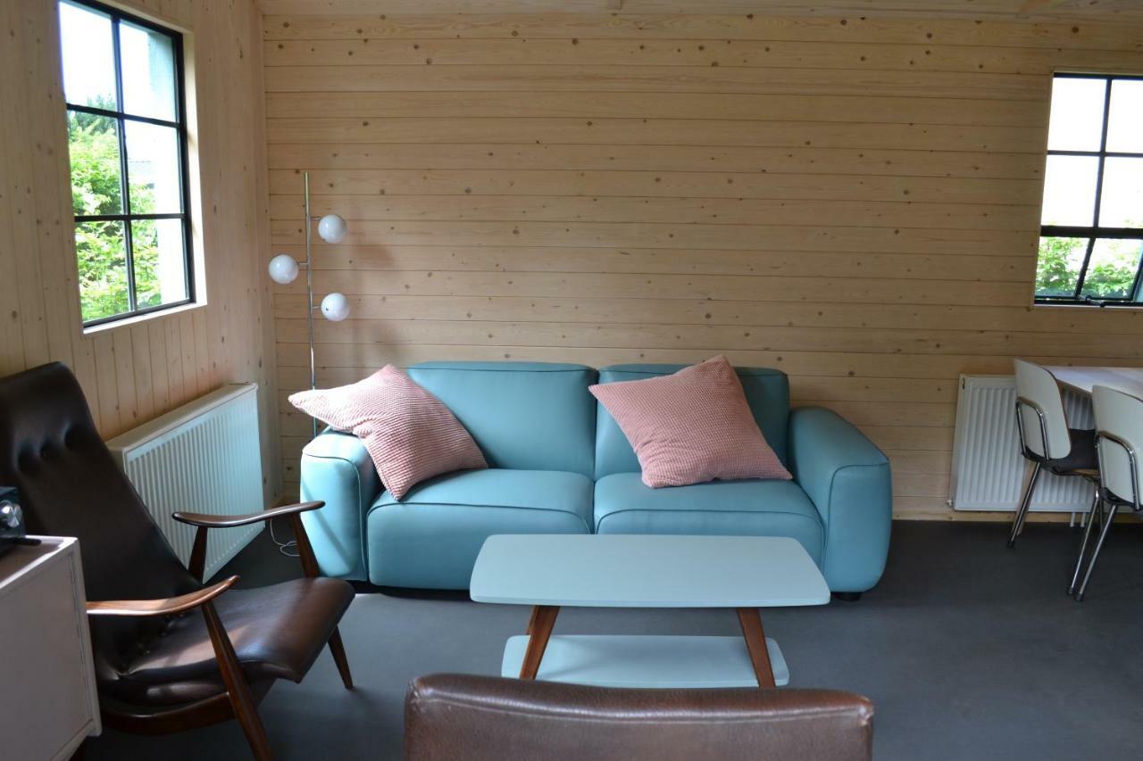 Mooi Nieuw Houten Huisje Havelte Kültér fotó